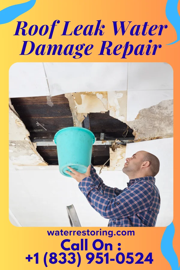 Roof Leak Water Damage Repair in Peru, IN